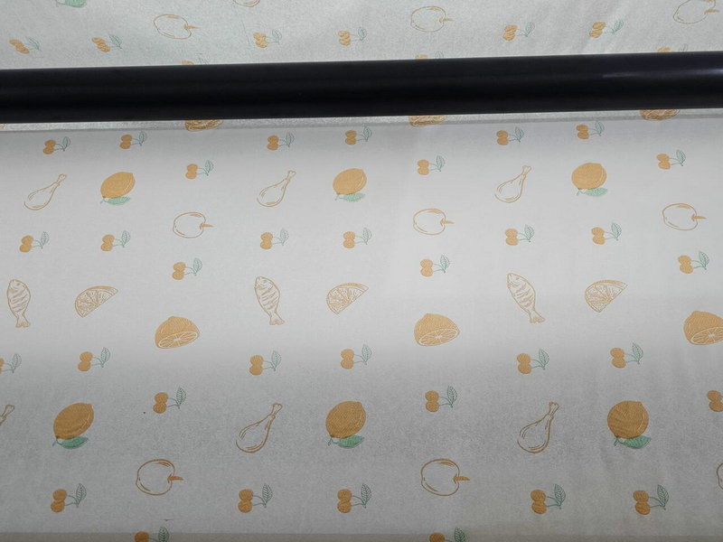 color printing maxi roll