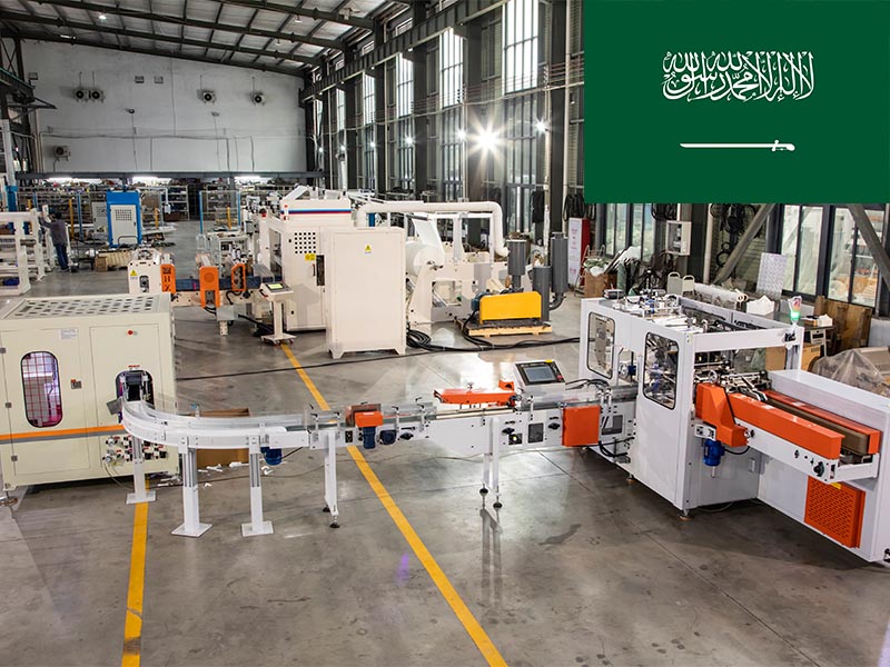 Automatic plastic bag drawing facial tissue paper production line in Saudi Arabia